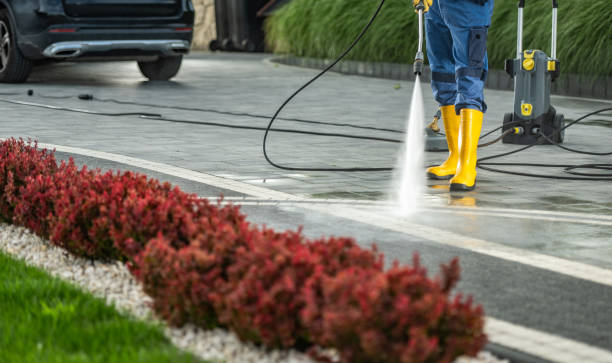 Best Vinyl Siding Pressure Washing in Tripoli, IA